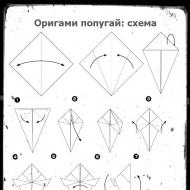 Попугай оригами: домашний питомец из бумаги своими руками